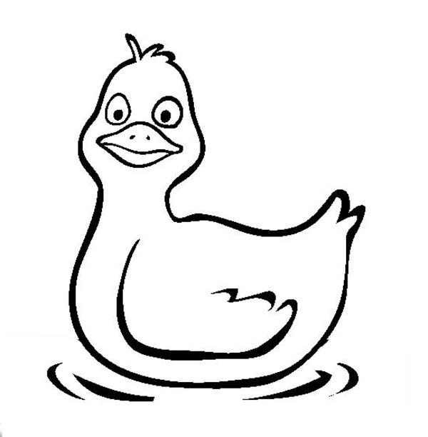 Duck is so surprise coloring page coloring pages online coloring pages ducklings