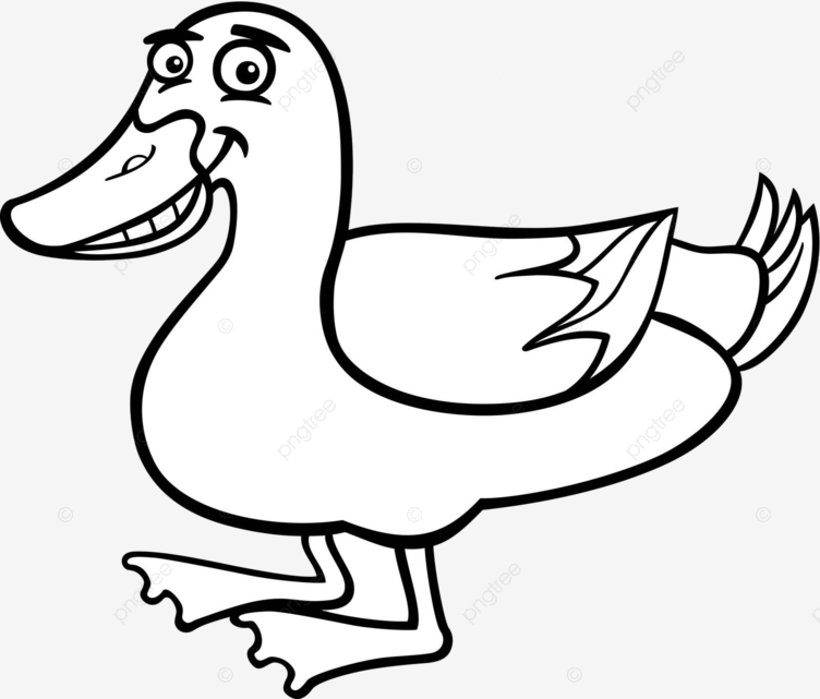 Farm duck cartoon for coloring book feather coloring mascot vector feather coloring mascot png and vector with transparent background for free download