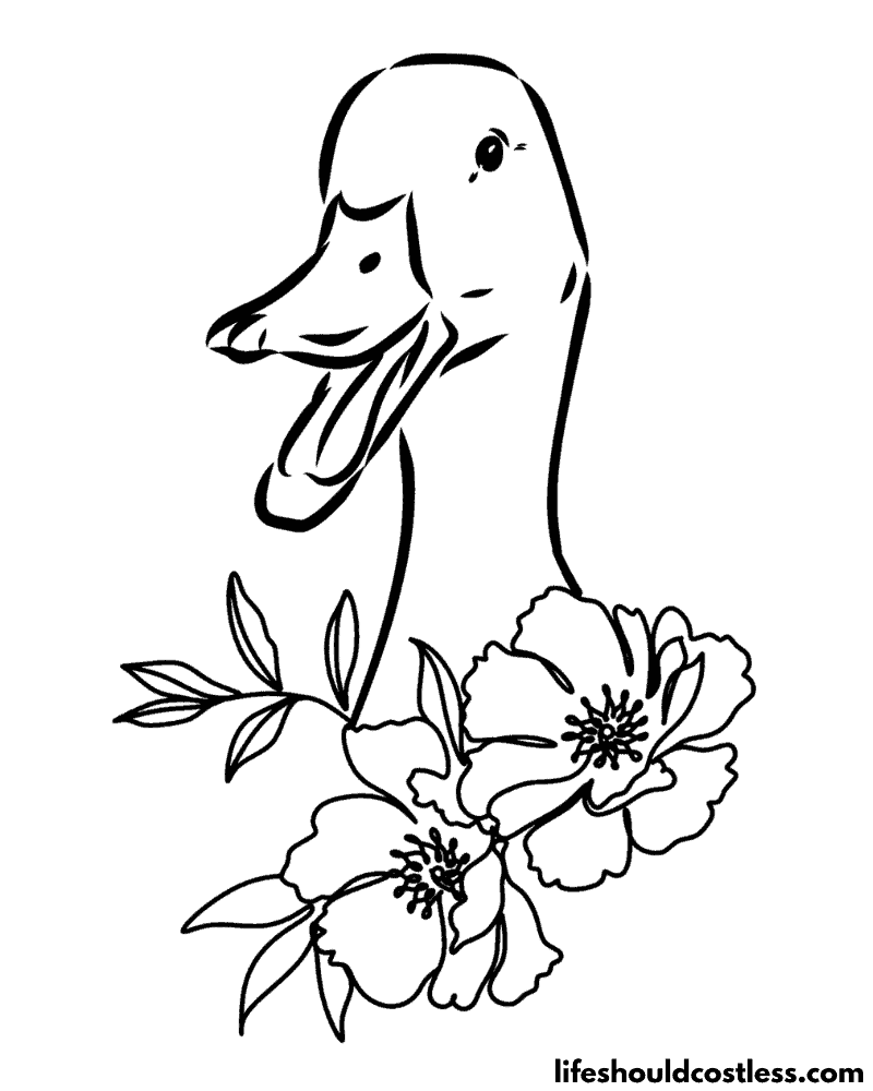 Duck coloring pages free printable pdf templates