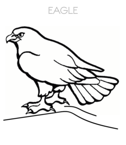 Eagle coloring pages playing learning