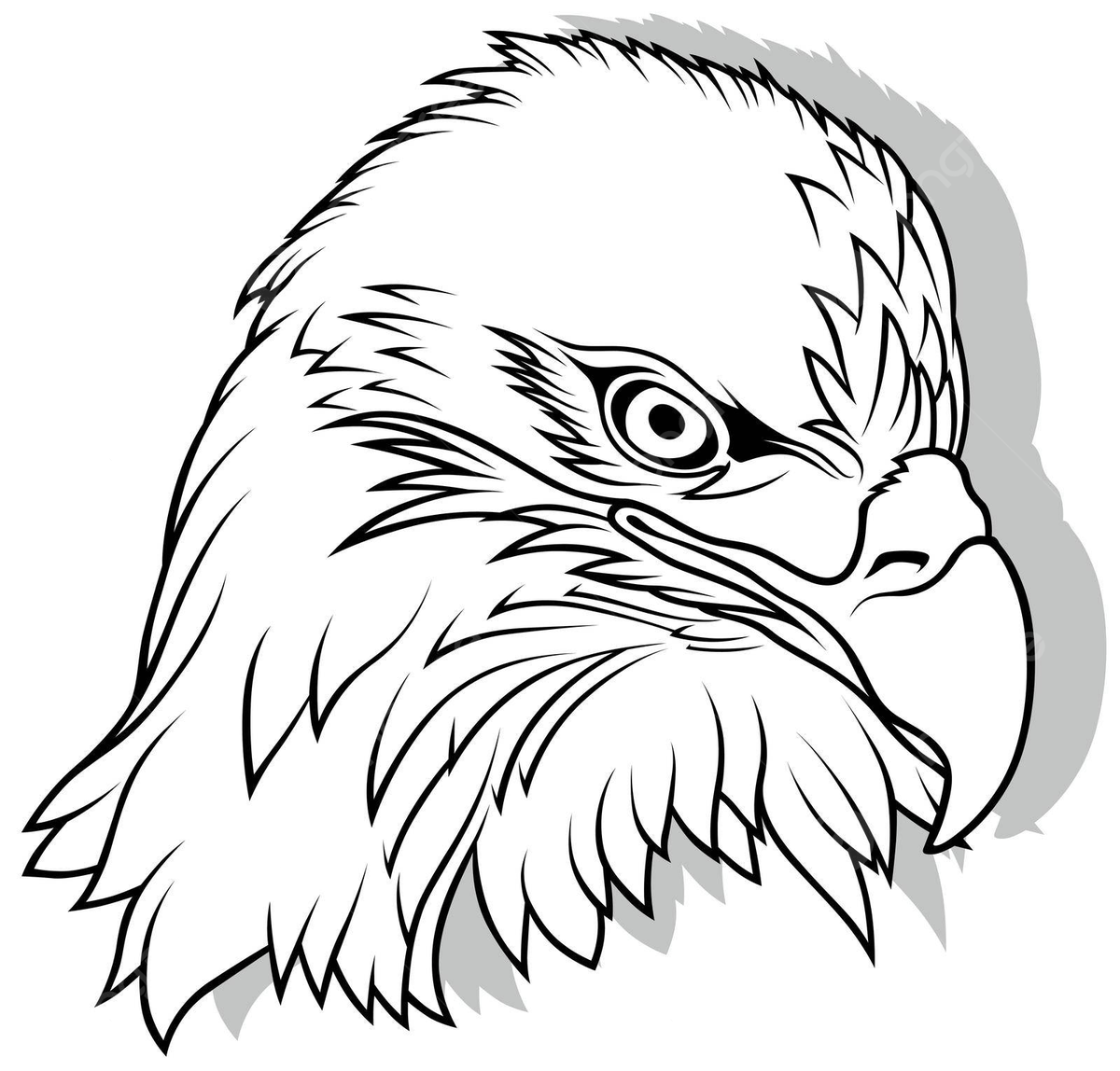 Drawing of eagle head symbol fauna black and white vector symbol fauna black and white png and vector with transparent background for free download
