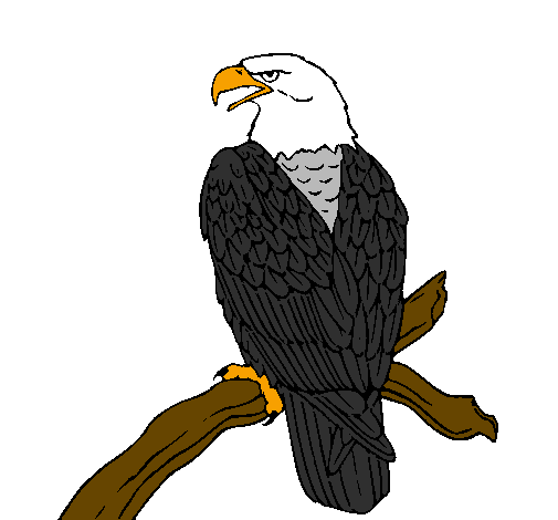 Colored page eagle on branch painted by isaiah