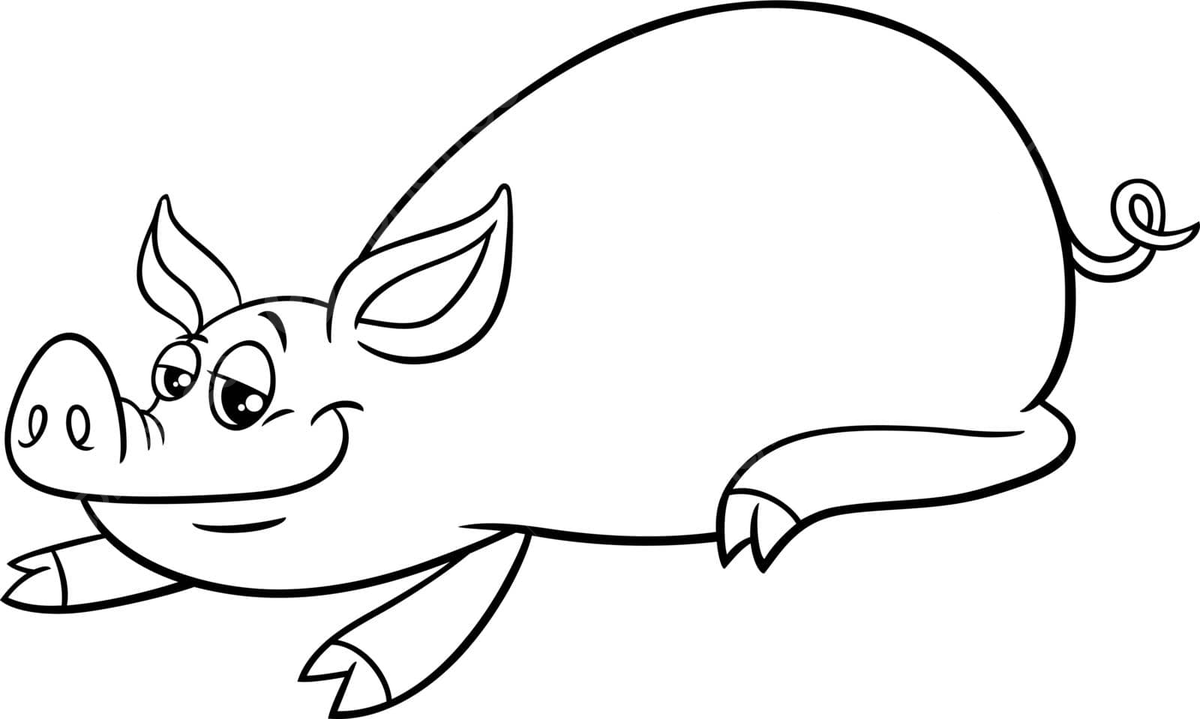 Animal coloring book pages png transparent images free download vector files