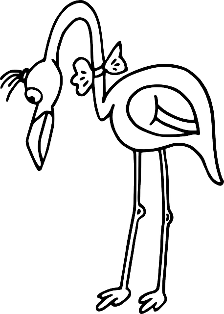 Beautiful flamingo illustrations