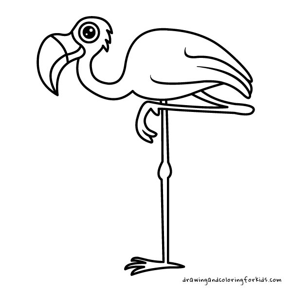 Drawing birds for kids coloring pages birds drawing penguin falcon flamingo turkey