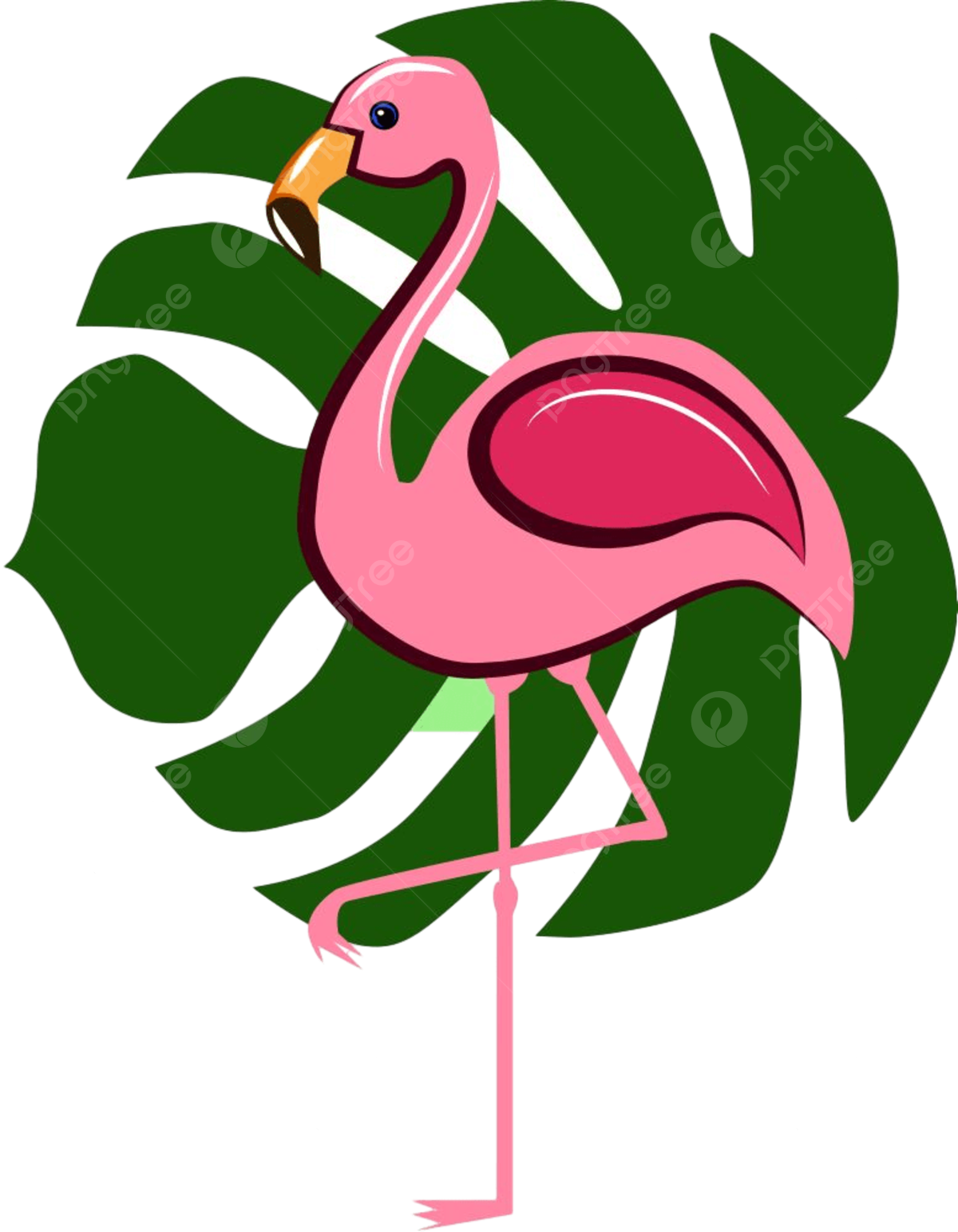 Flamingo color png transparent images free download vector files