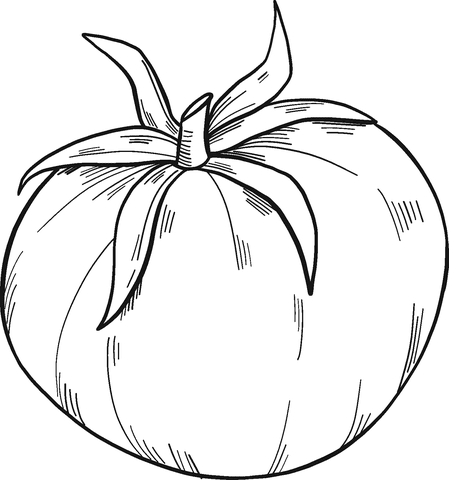 Coloring pages tomato coloring pages vegetables food strong tomato cartoon