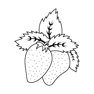 Premium vector black and white cartoon vector illustration of strawberry fruit food object for coloring book