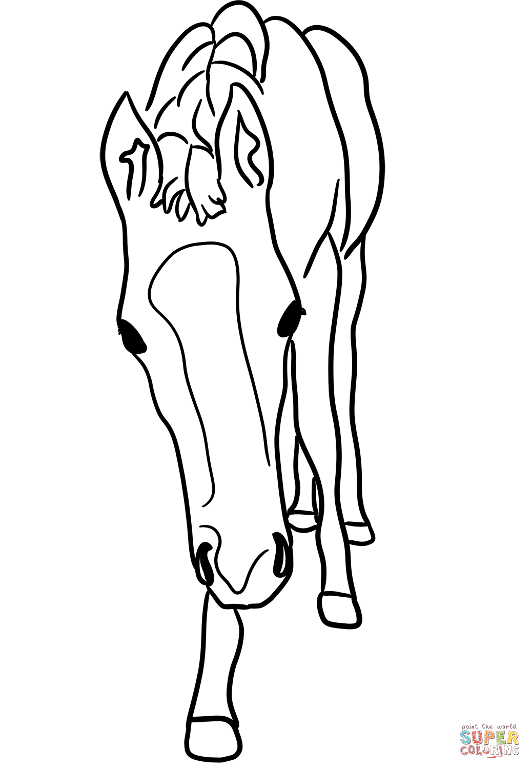 Horse foal coloring page free printable coloring pages