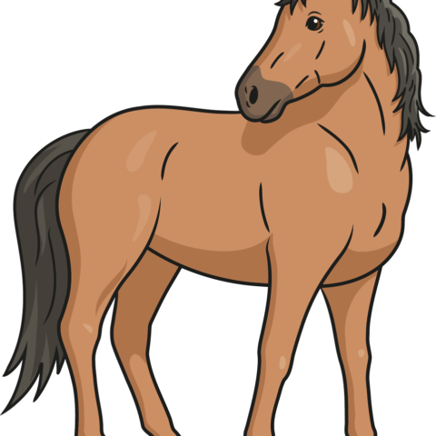 Horse drawings easy drawing guides
