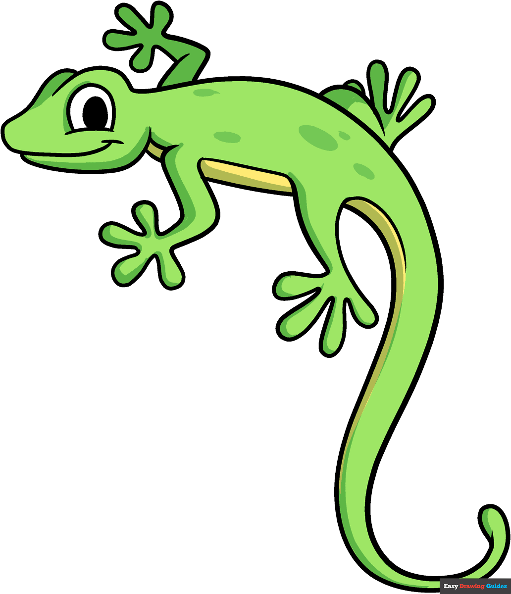 How to draw a cartoon lizard
