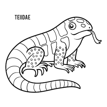 Premium vector coloring book for children teiidae