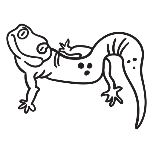Lizard staring stroke png svg design for t
