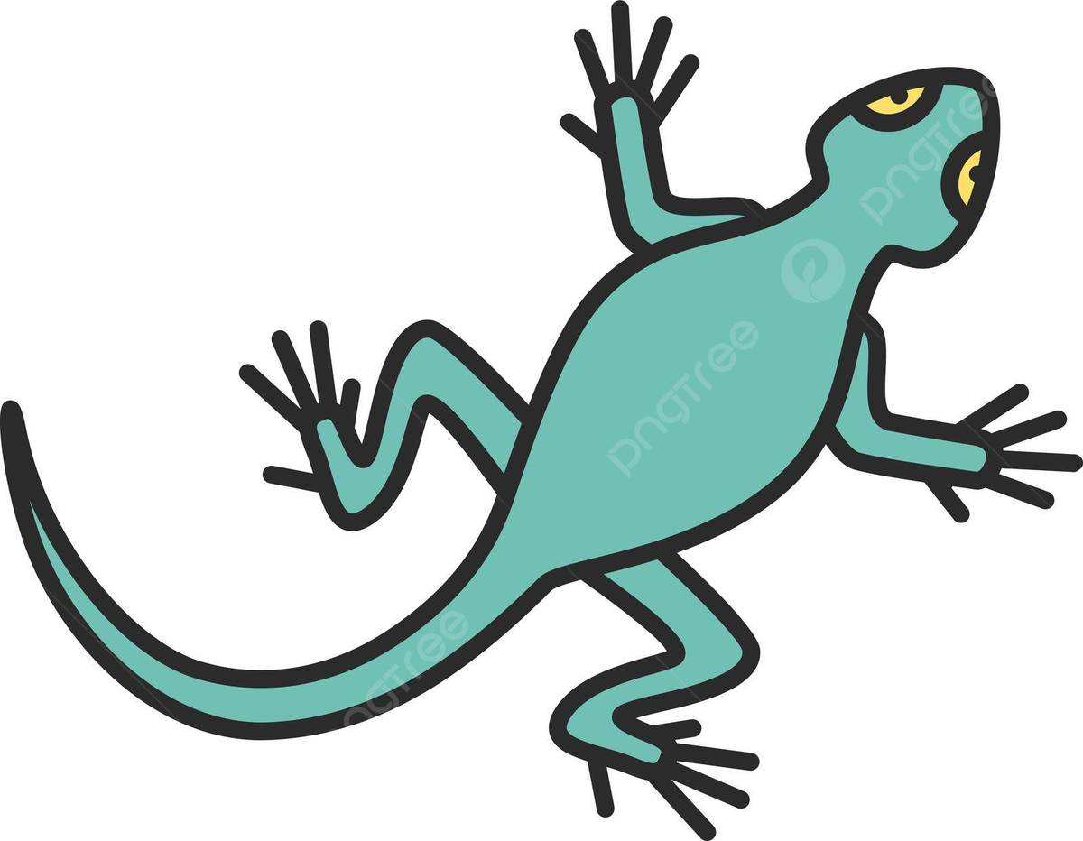 Lizard color icon gecko animal fauna vector gecko animal fauna png and vector with transparent background for free download