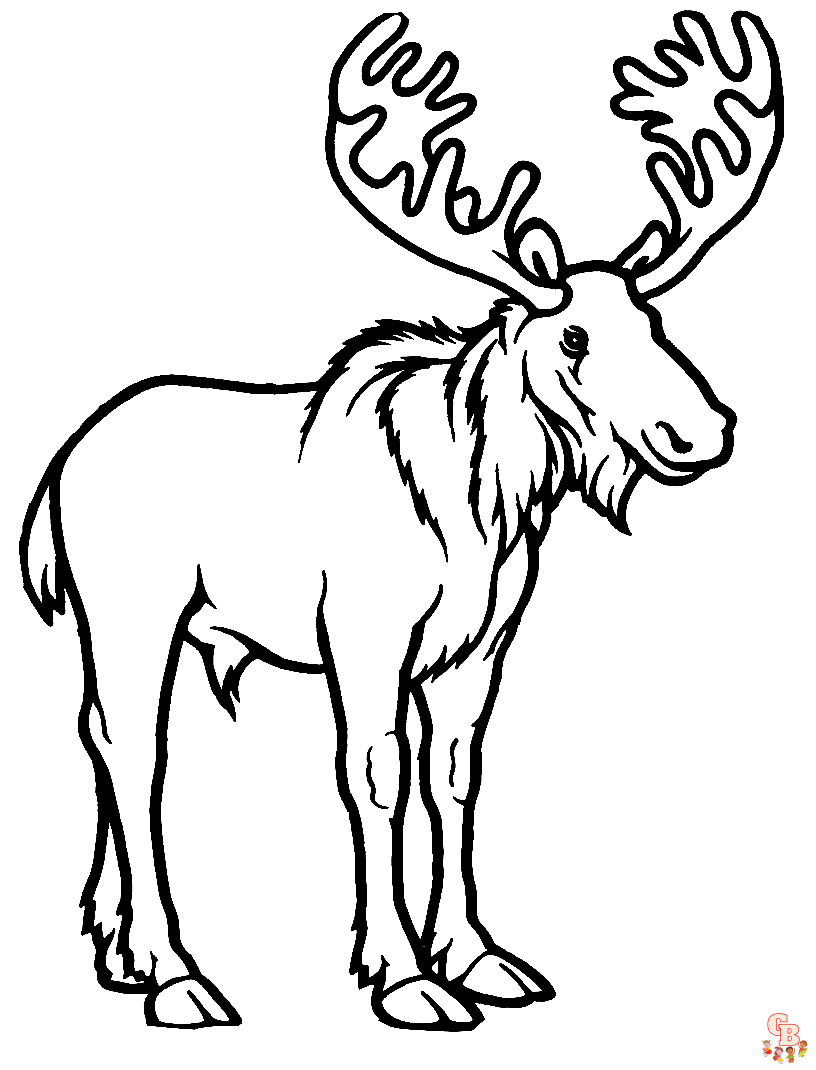 Moose coloring pages