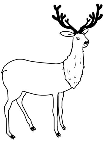 Deer coloring page free printable coloring pages