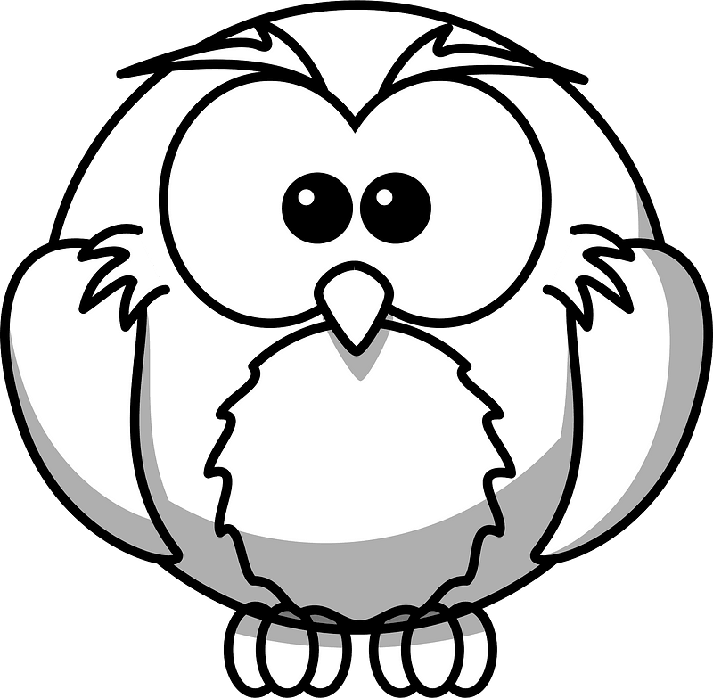 Cartoon owl