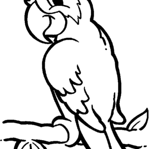 Parrot coloring pages printable for free download