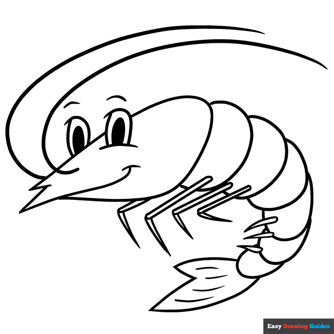Shrimp coloring page easy drawing guides