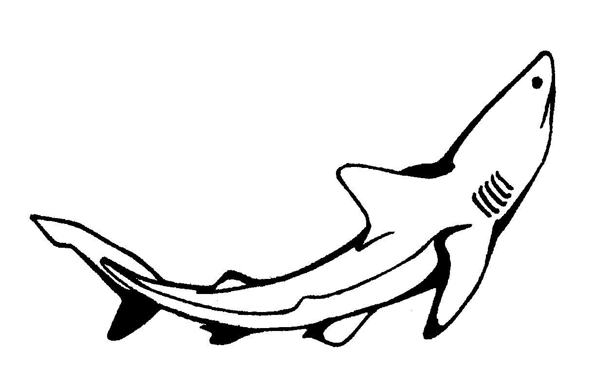 Coloring page shark animals â printable coloring pages