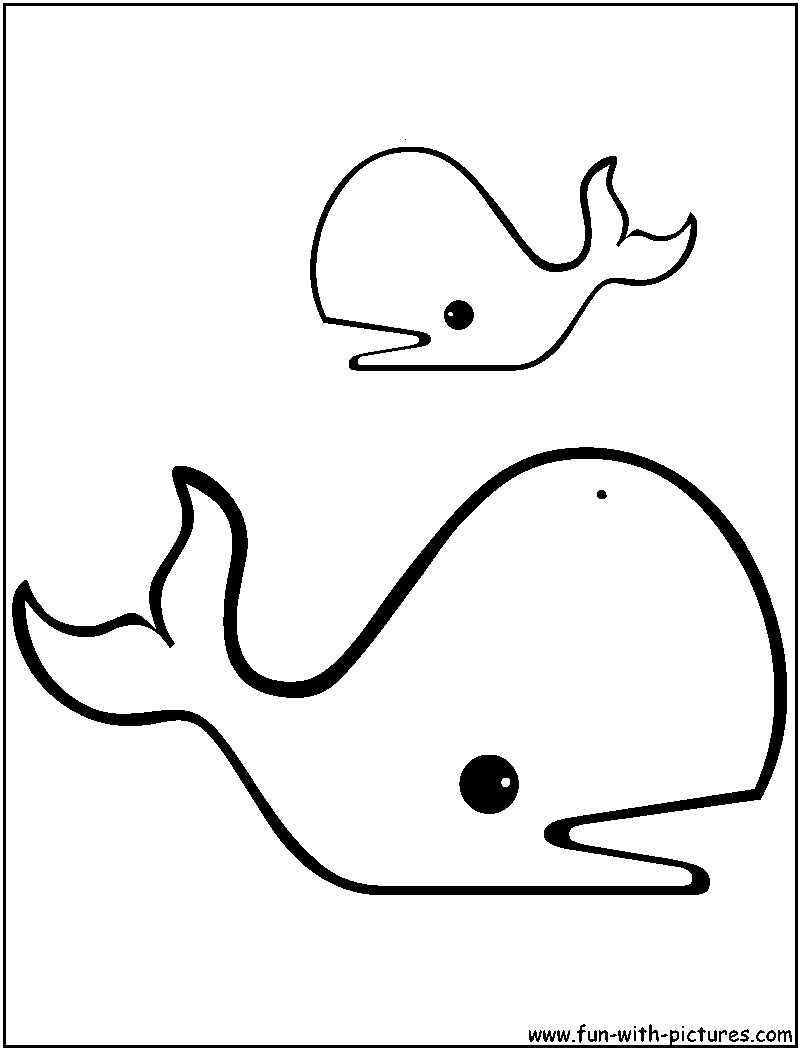 Sperm whale coloring page