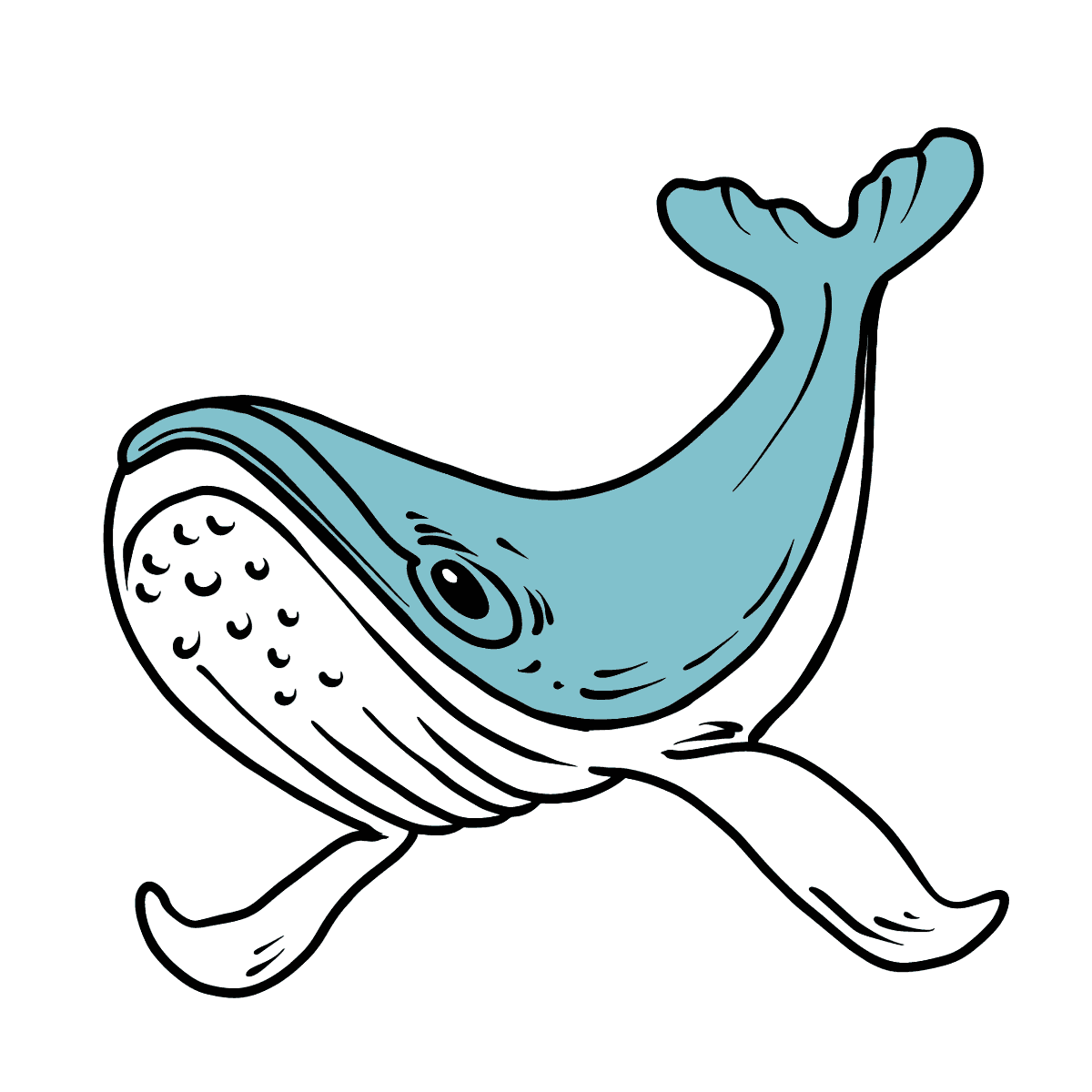 Whale coloring page â color online for free