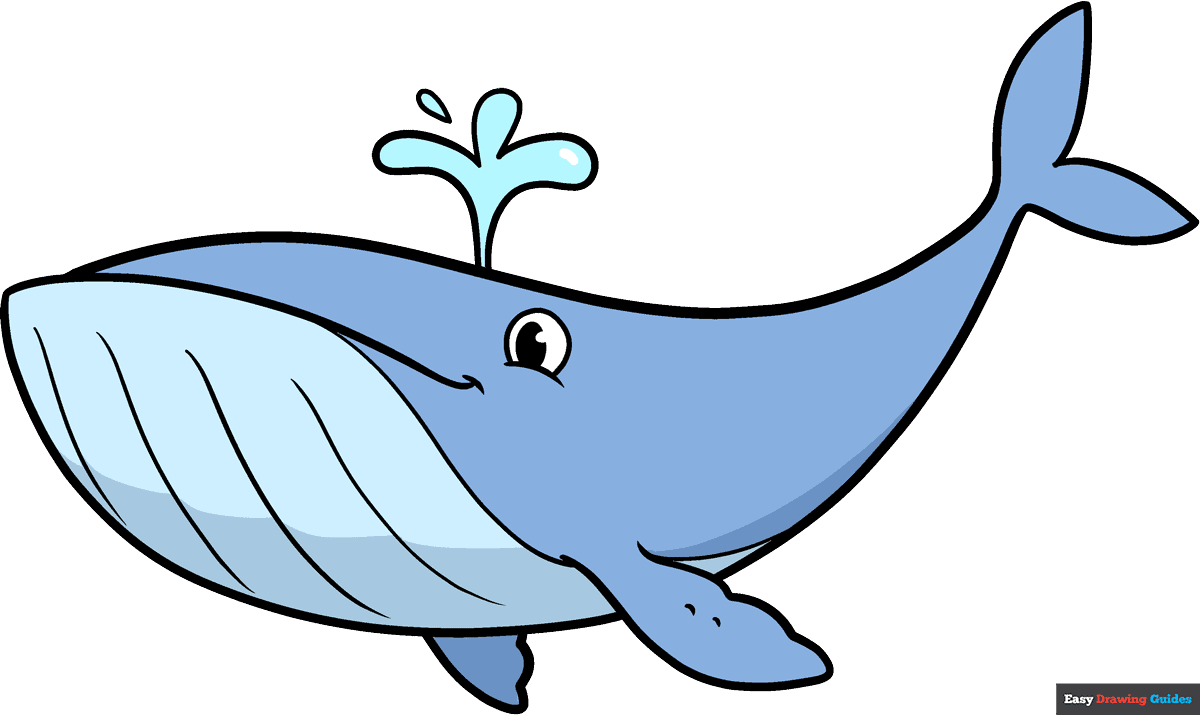 How to draw an easy whale