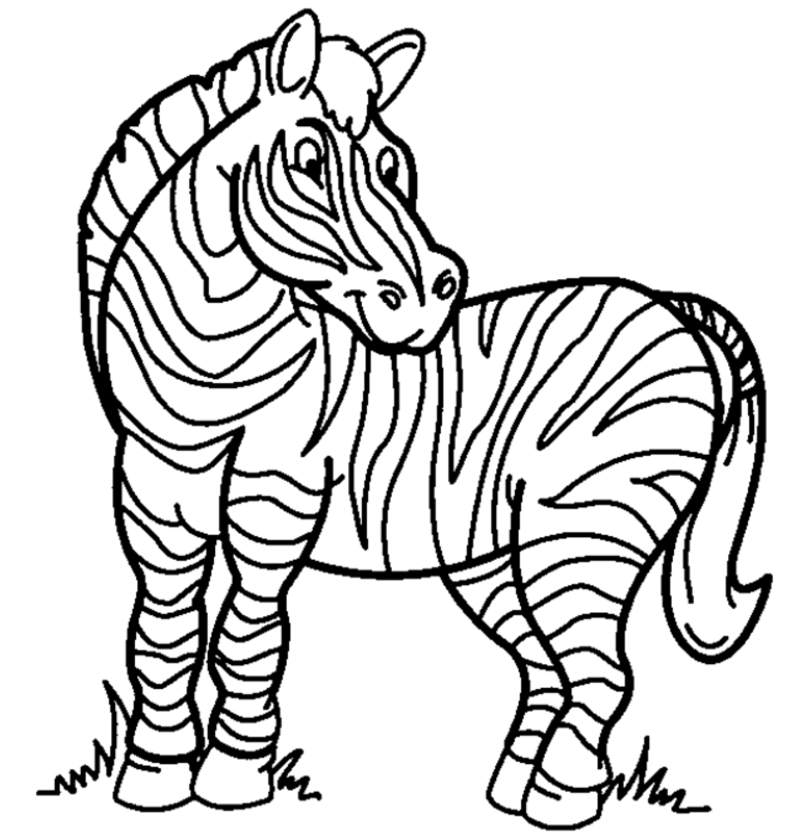 Free zebra coloring pages download free zebra coloring pages png images free cliparts on clipart library