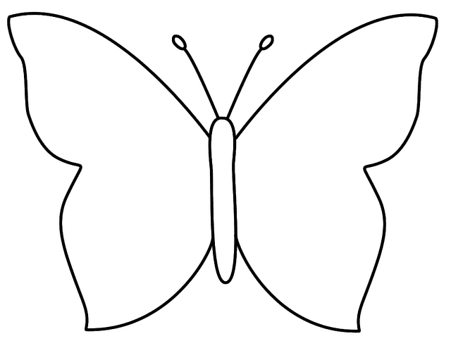 Animales mariposa