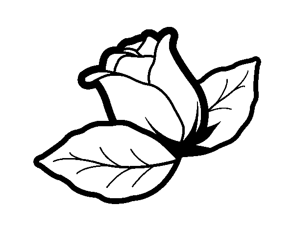 Dibujo de rosa con hojas para colorear hojas para colorear dibujo de rosa flores para dibujar