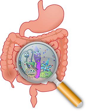 Dietetic intern research articles human sciences sfa