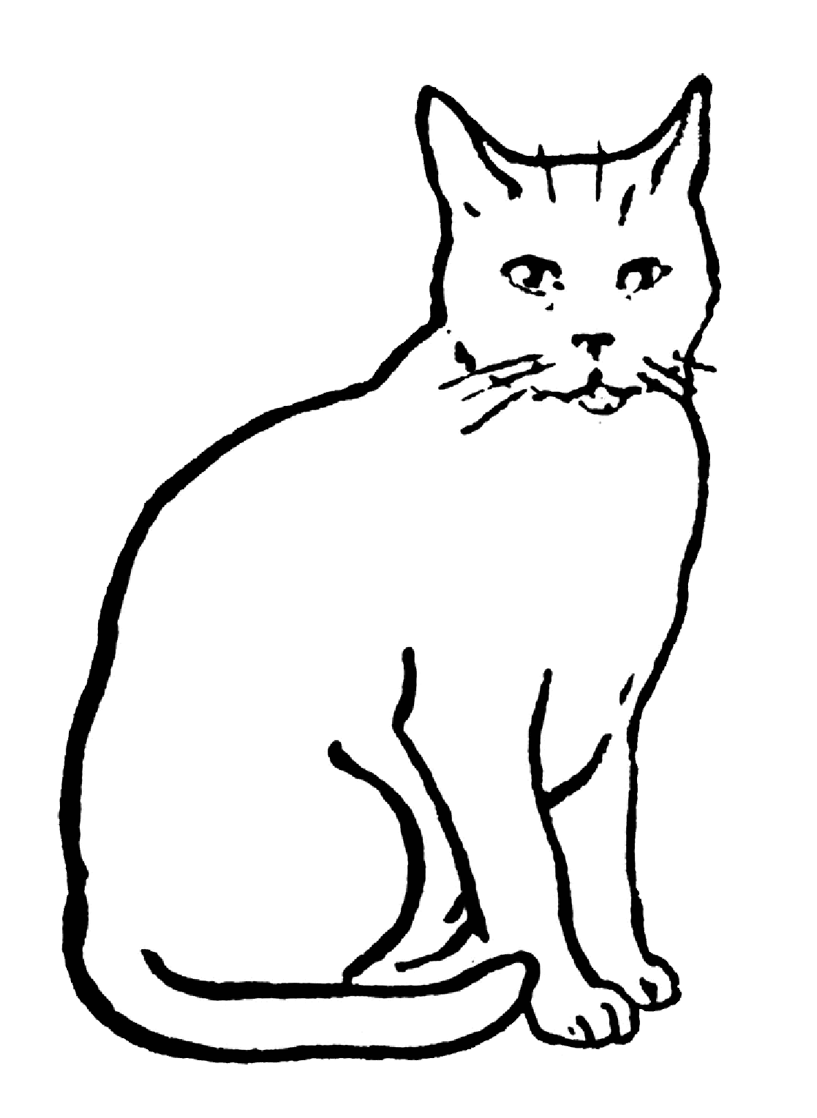 Cat clipart cat drawing cat art