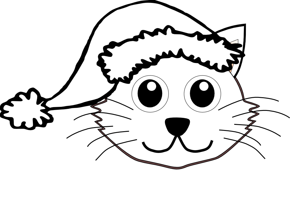 Cat in the hat coloring book
