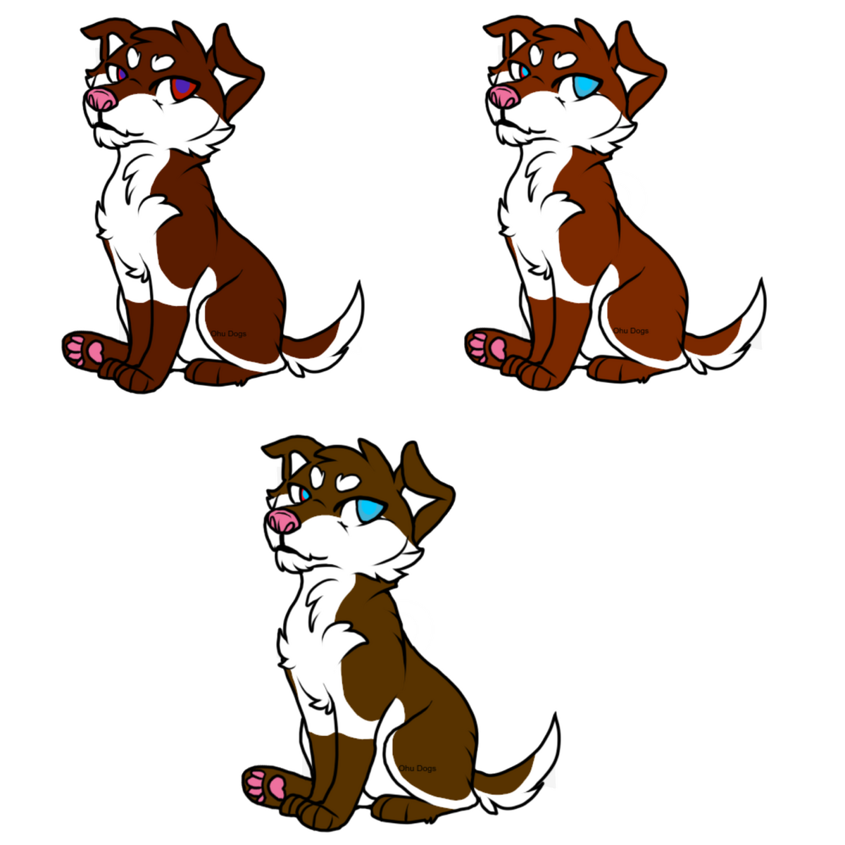 Brothers forever shiloh juno and jet paw patrol fanon wiki