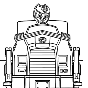 Wild cat paw patrol coloring pages printable for free download