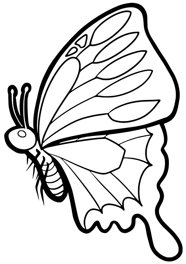 Butterfly drawing for coloring page free printable nurieworld