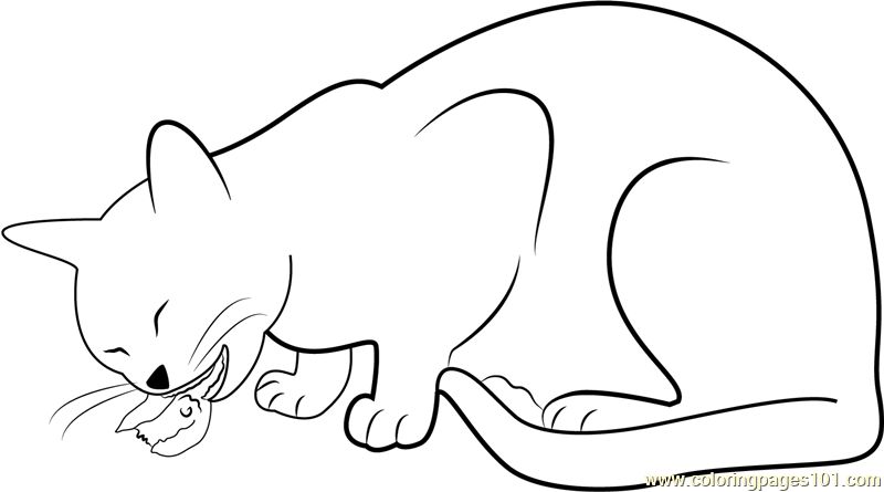 Cat eating bid coloring page for kids