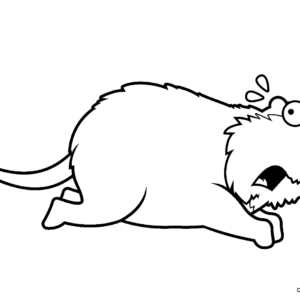 Opossum coloring pages printable for free download