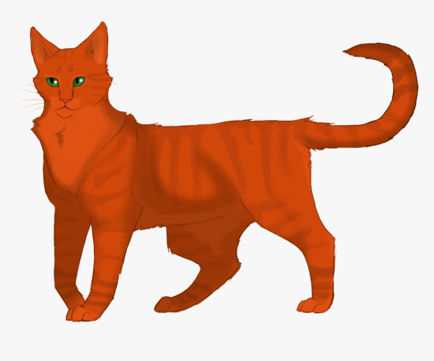Warrior cat coloring pages fireheart hd png download transparent png image