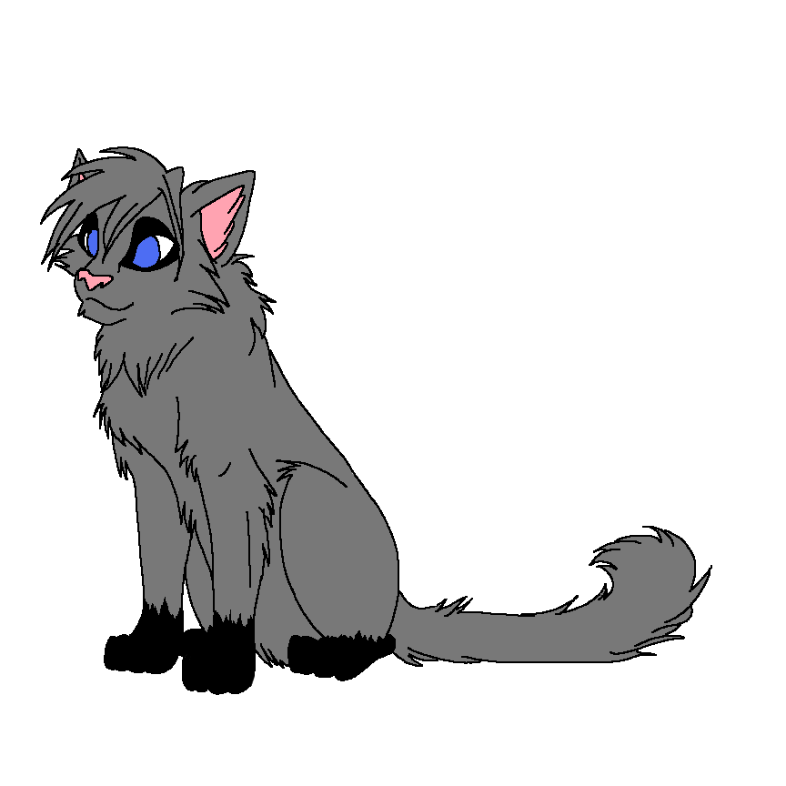 Warrior cats coloring pages