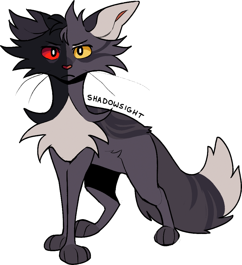 Warrior cat designs warrior cats warrior cat warrior cat drawings