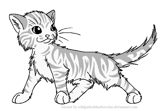 Longhaired tabby m lineart by wildpathofshadowclan on