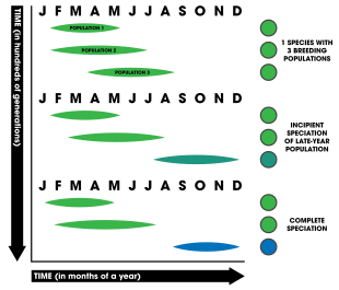 Ecological speciation