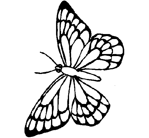 Butterfly coloring page
