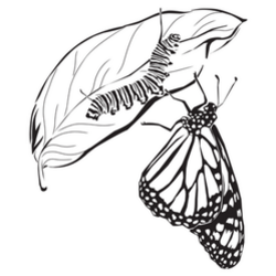 Hand drawn caterpillar and butterfly sketch sticker