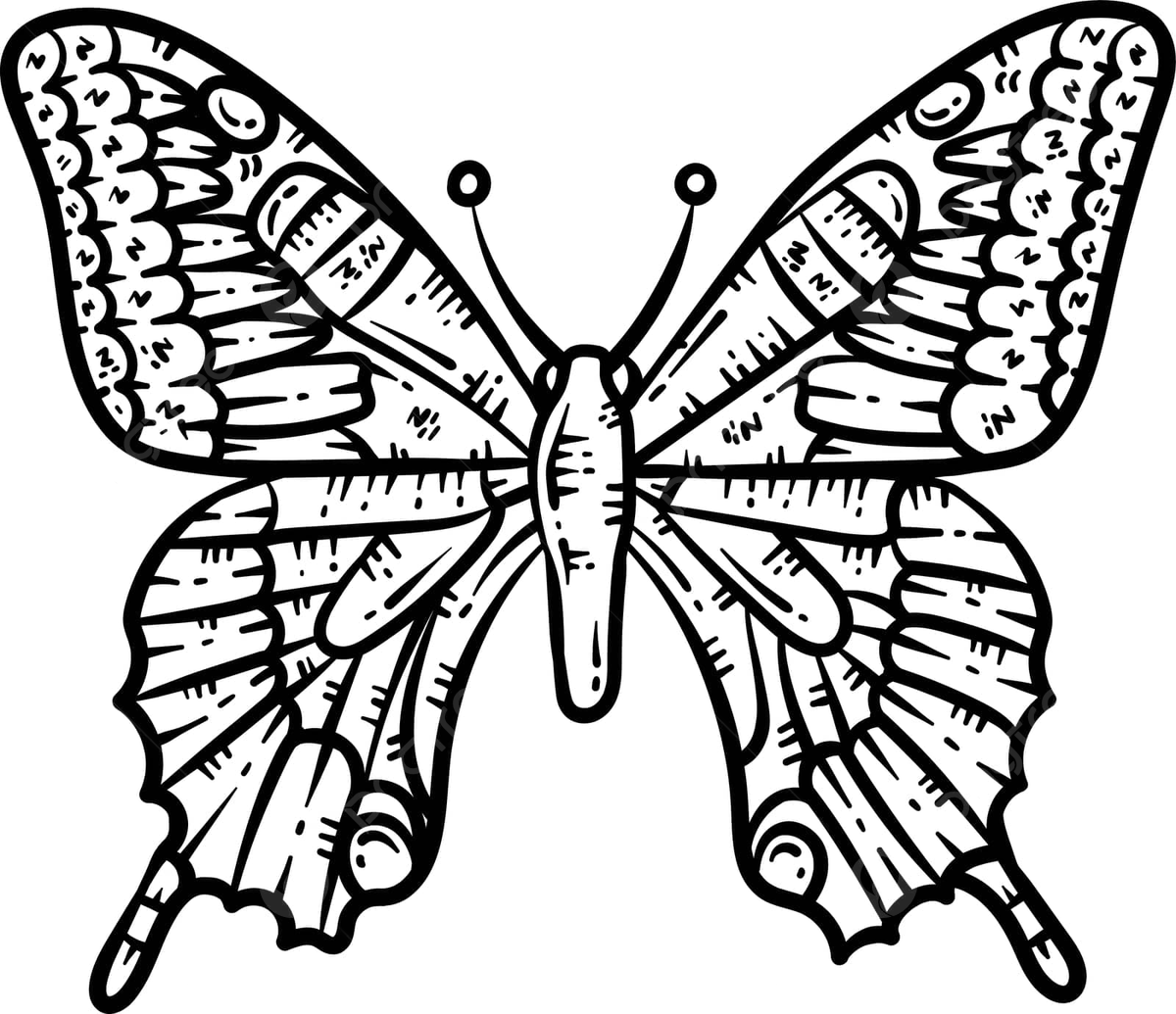 Colouring butterfly coloring page png transparent images free download vector files
