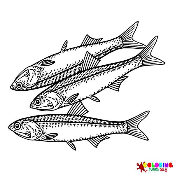 Fish coloring pages