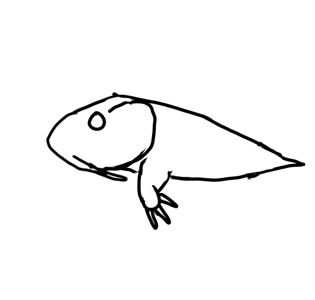 Wele to claris a world seeded with terrestrial descendants of the walking catfishclarias batrachus you can see the introduced lists below along with the continent and the land catfish itself the animals