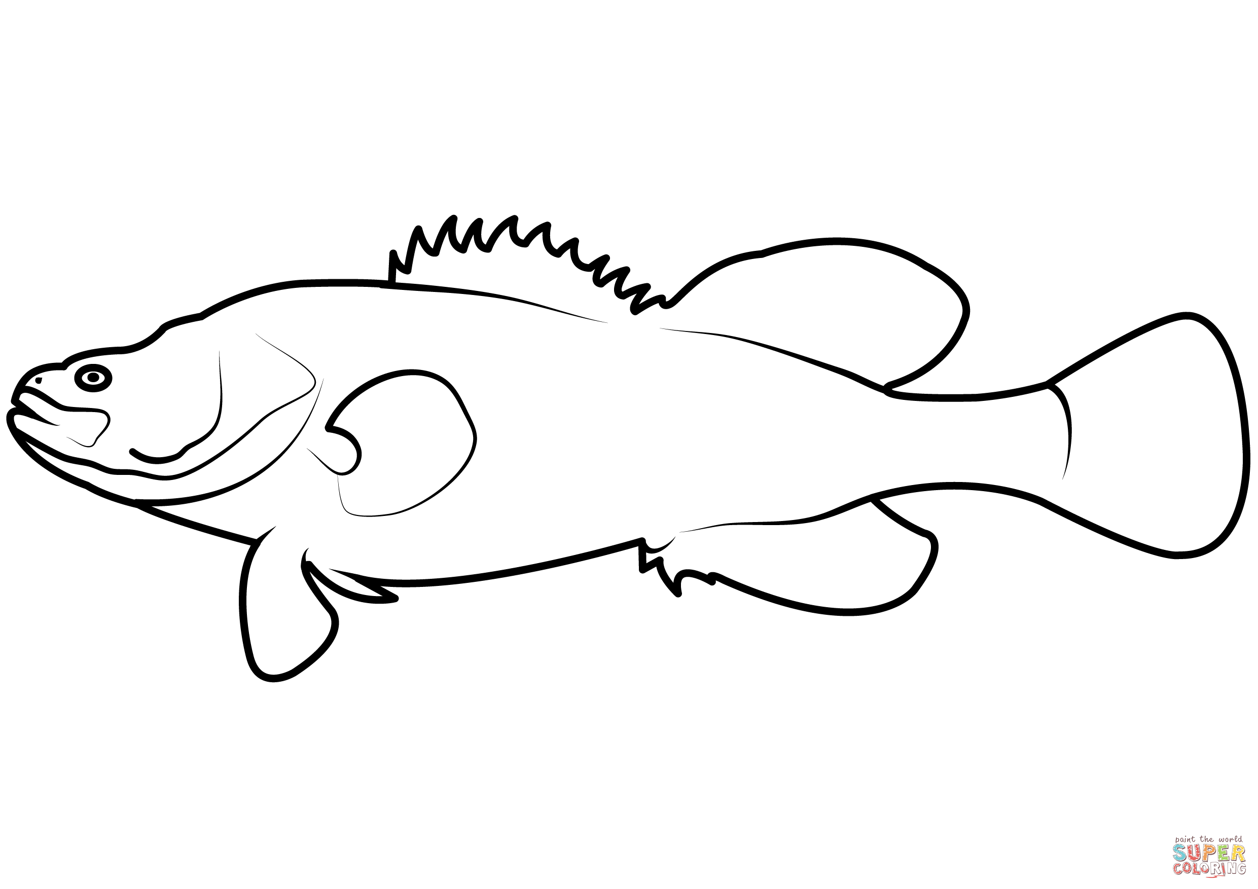 Murray cod maccullochella peelii coloring page free printable coloring pages