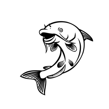 Catfish drawing png transparent images free download vector files